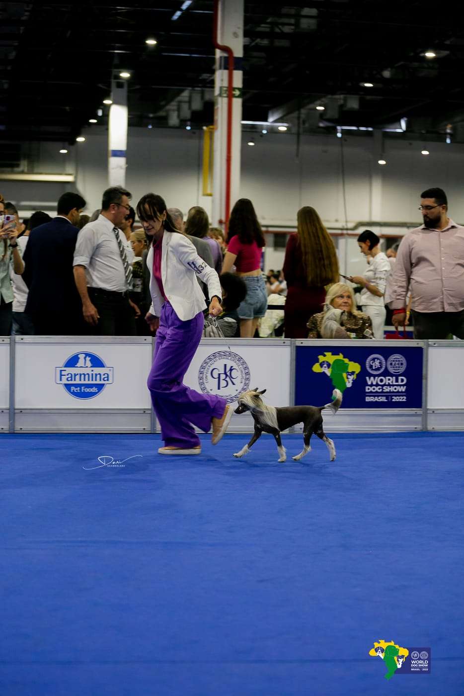 Lapinus Marilyn Monroe