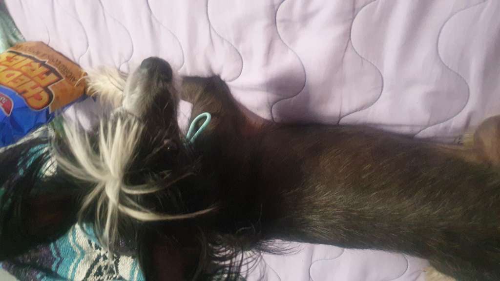 Etno Spirit Infinity Way