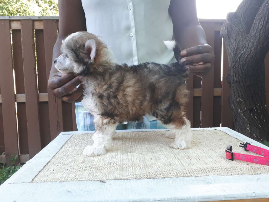 Aqua Aquarium of Lore