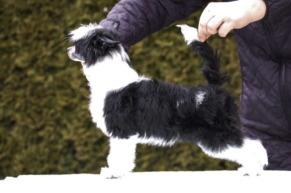 Energy Di Ibiza
