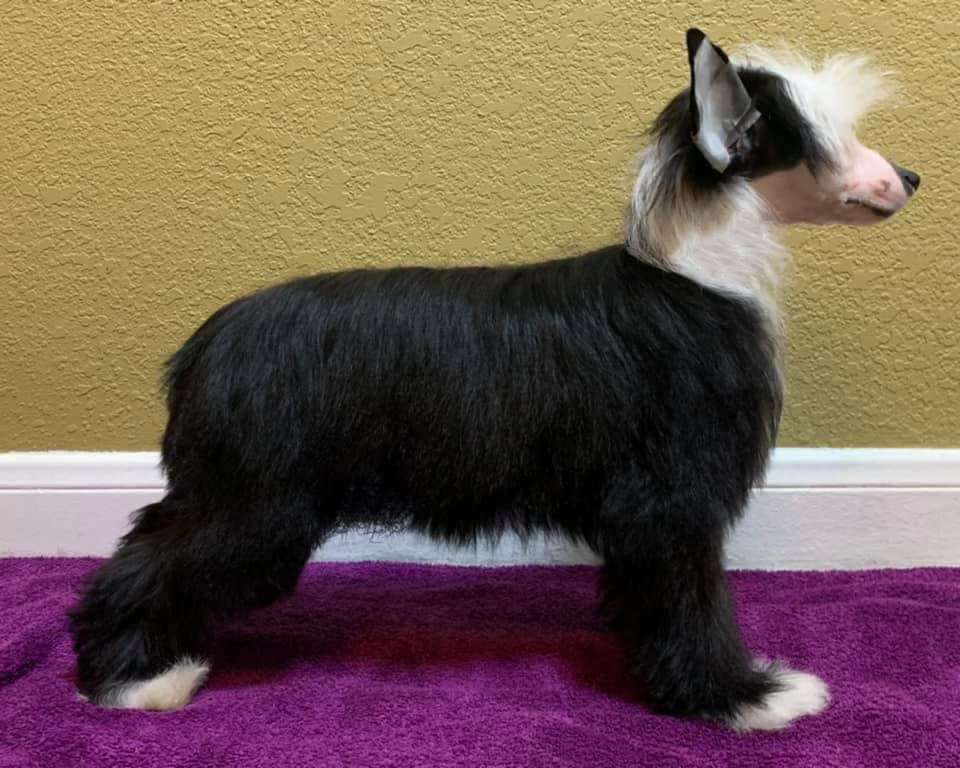 DeBahtrio-Spiritual If U Go, I Go