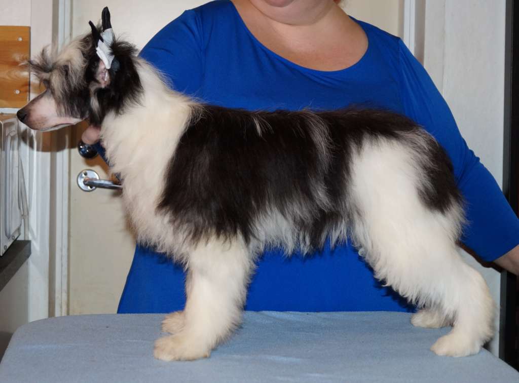 Sun Dan OMG What A Suprize