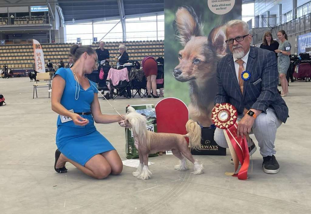 Sirocco No Lemon No Melon