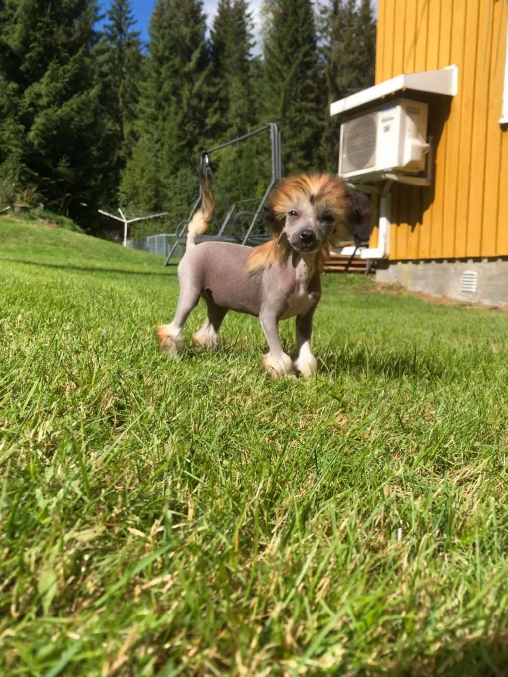 Eventyrvannets Prinsesse Minda