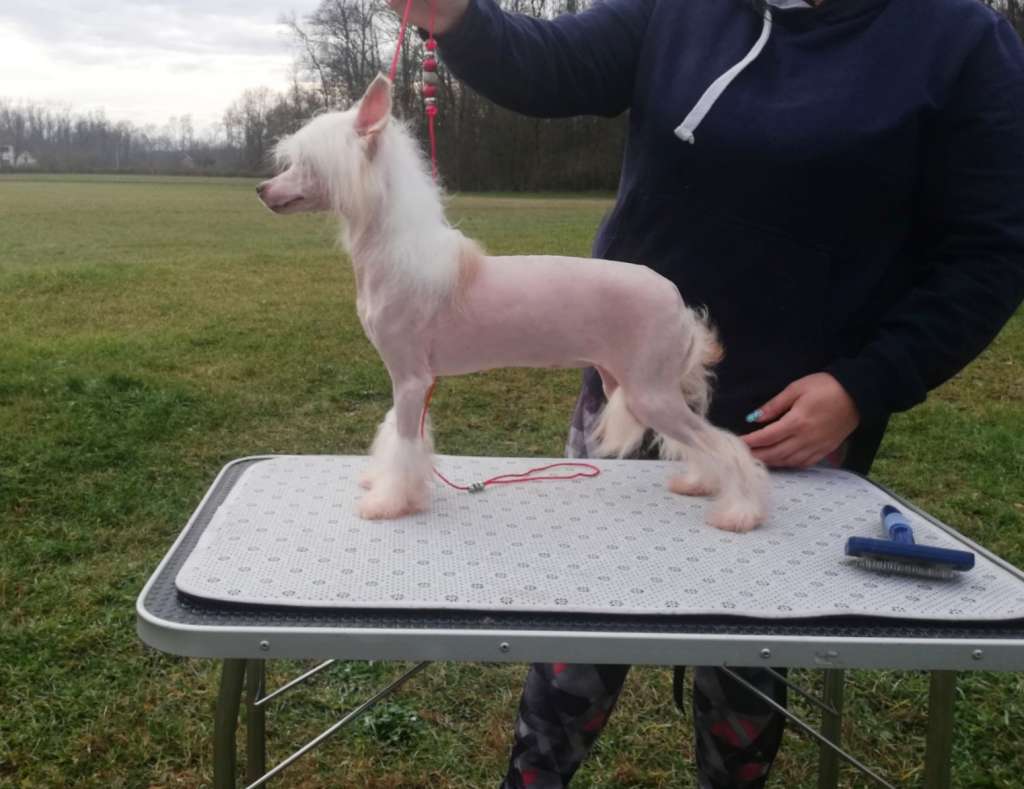 Can't touch this Laminacka