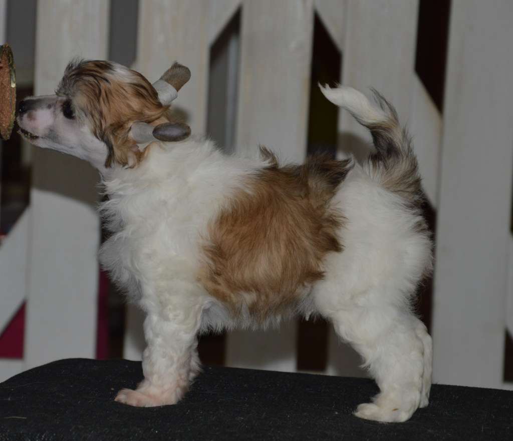 Kaitlin Zetor Crystal