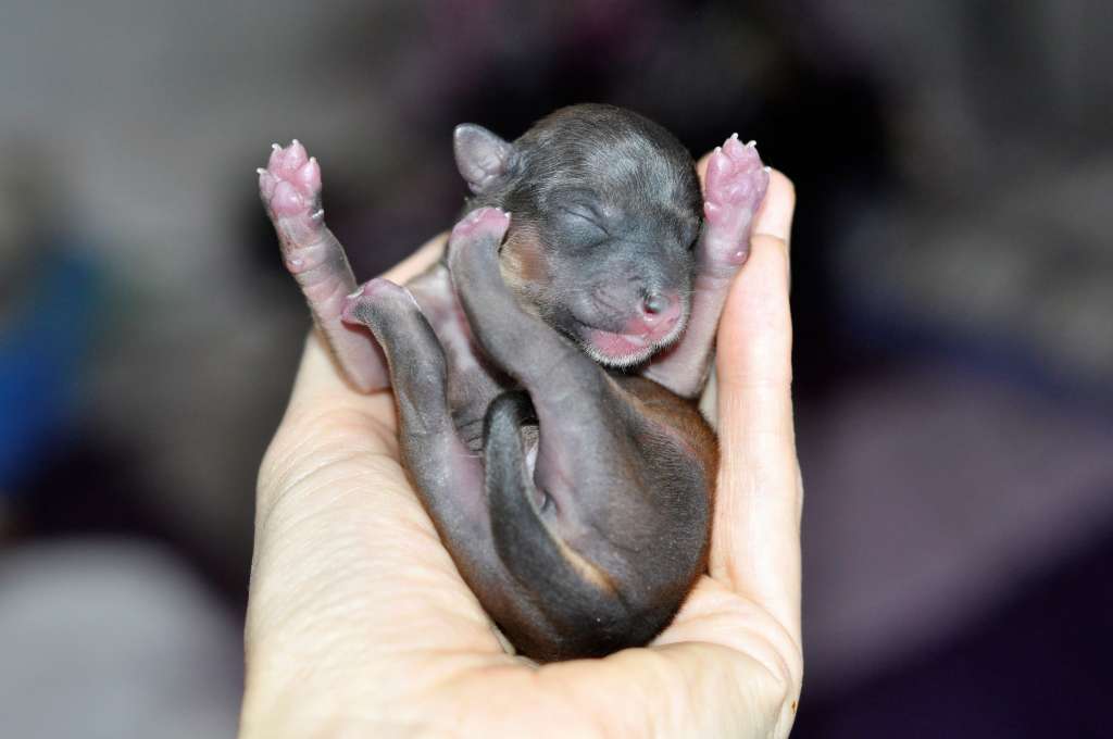 In Your Eyes Winning Smile