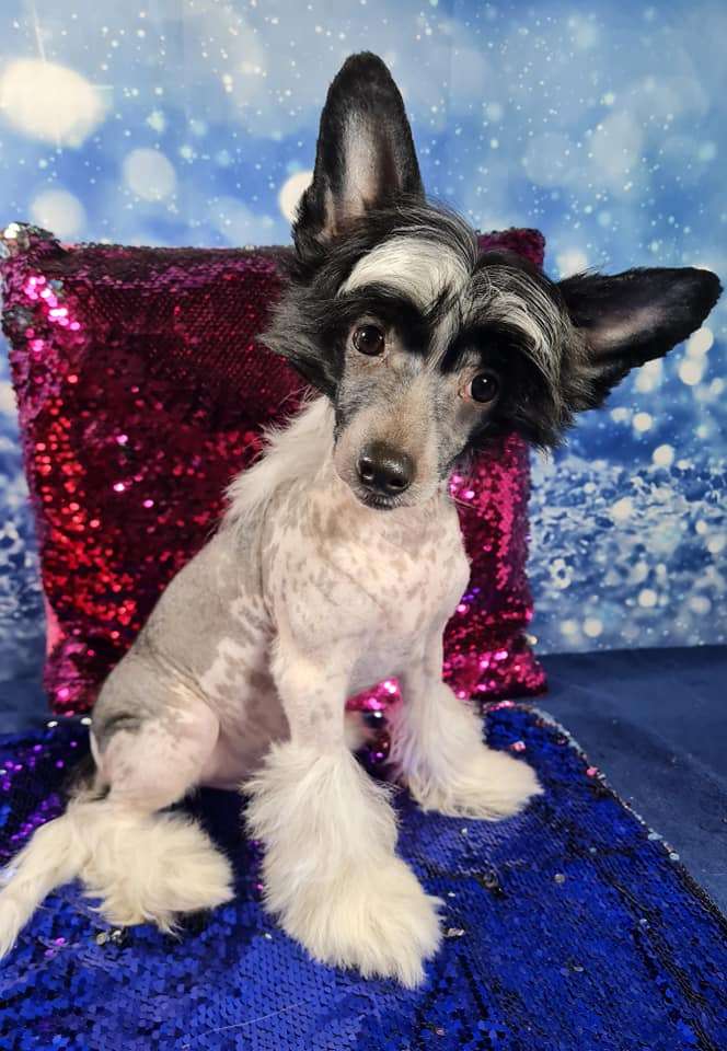 Imperatorskiy Kapriz Olimpys