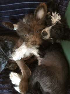 Manymore Cant hide my love