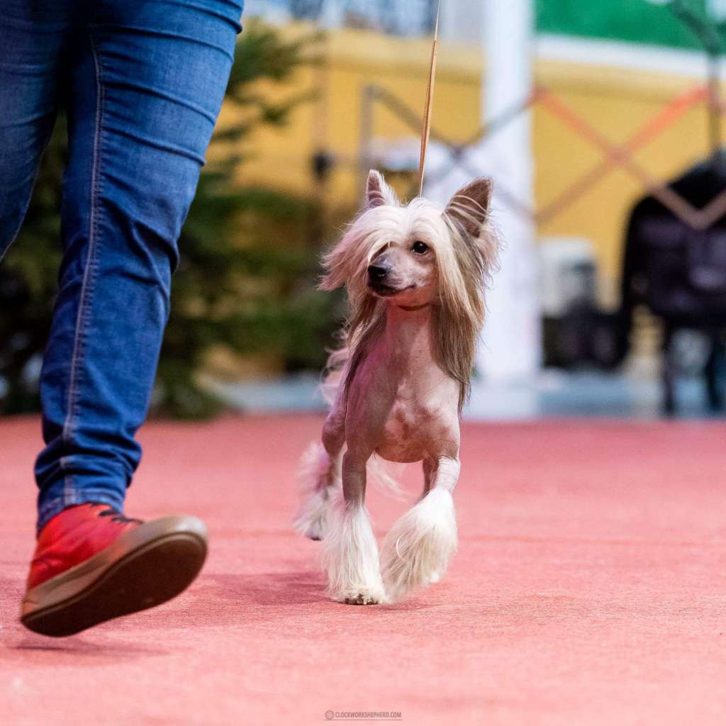 Marley Just Like Summer