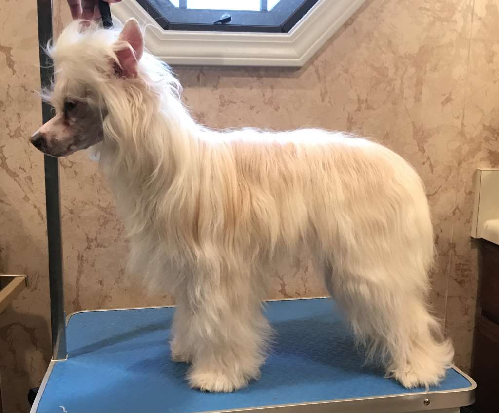 Cosmic Meadow Of Erisse