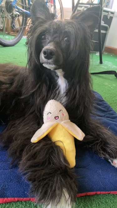 Erisse's Makn The Cosmic Climb