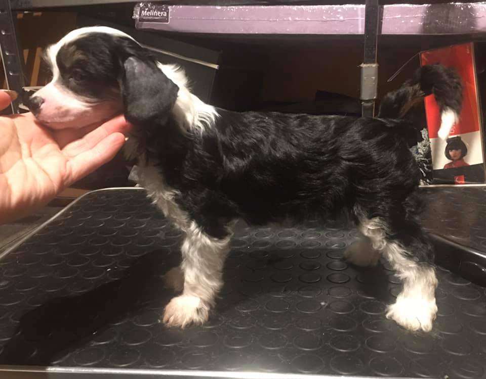 Luckytern Wait For Me