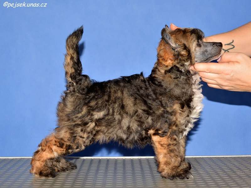 Chris ze Zatopené chajdy