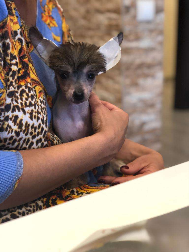 Ksolo Club Melody of Soul