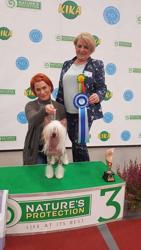 Nautilus Pompilius Rojaus Vejas