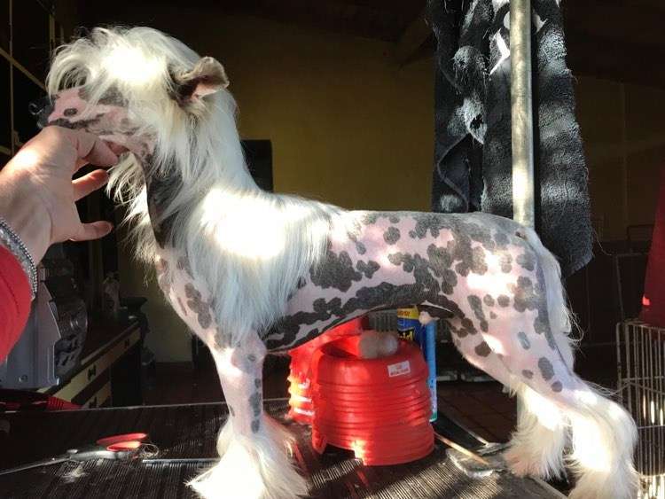 Patagonia Ranch Ice Cream