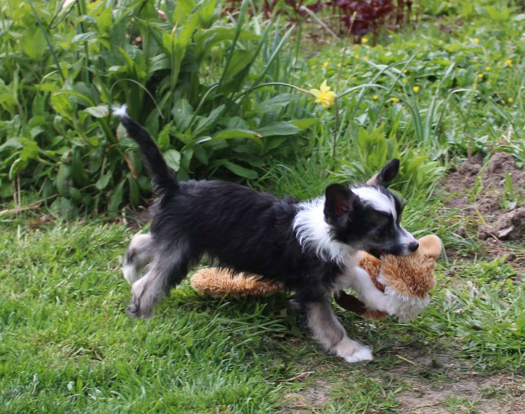 Exotic Spirit Soulmates Never Die