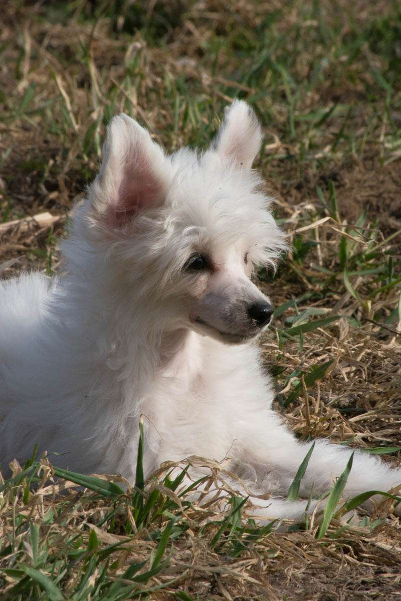 Absolut Harmony Best