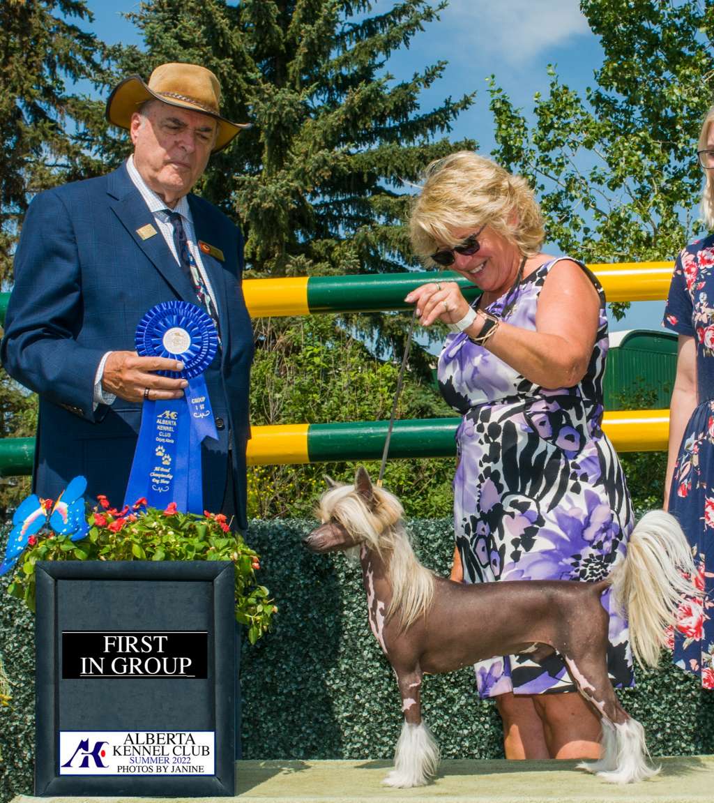 MBPIS Tanooki Suit of Lore