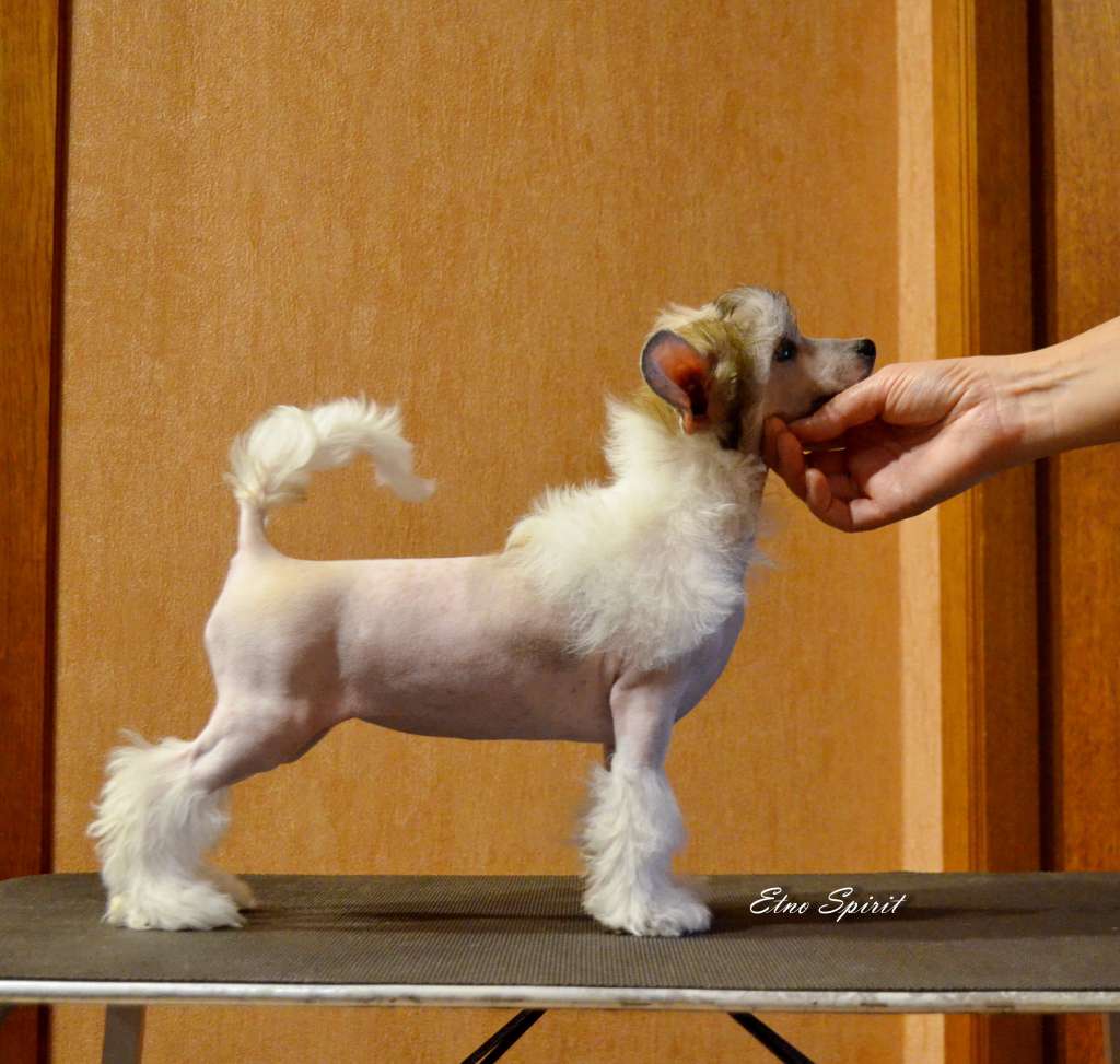 Etno Spirit Keep Your Smile