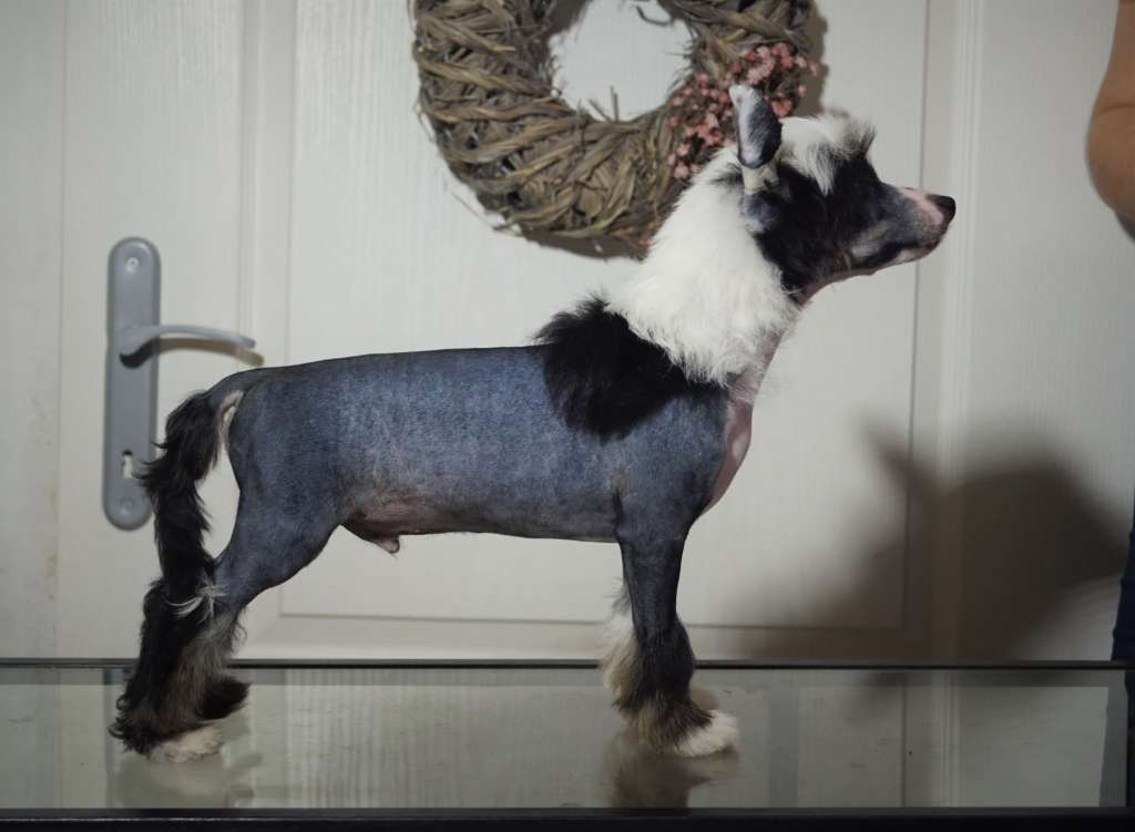 Some Like it Hot Heybett