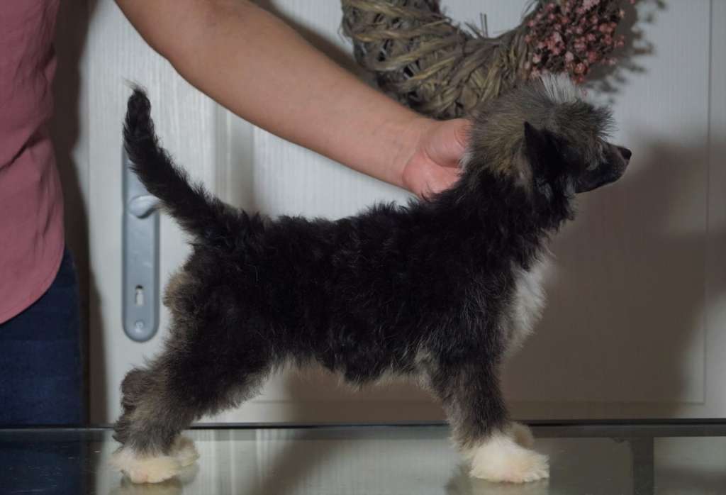 Smooth as Silk Heybett