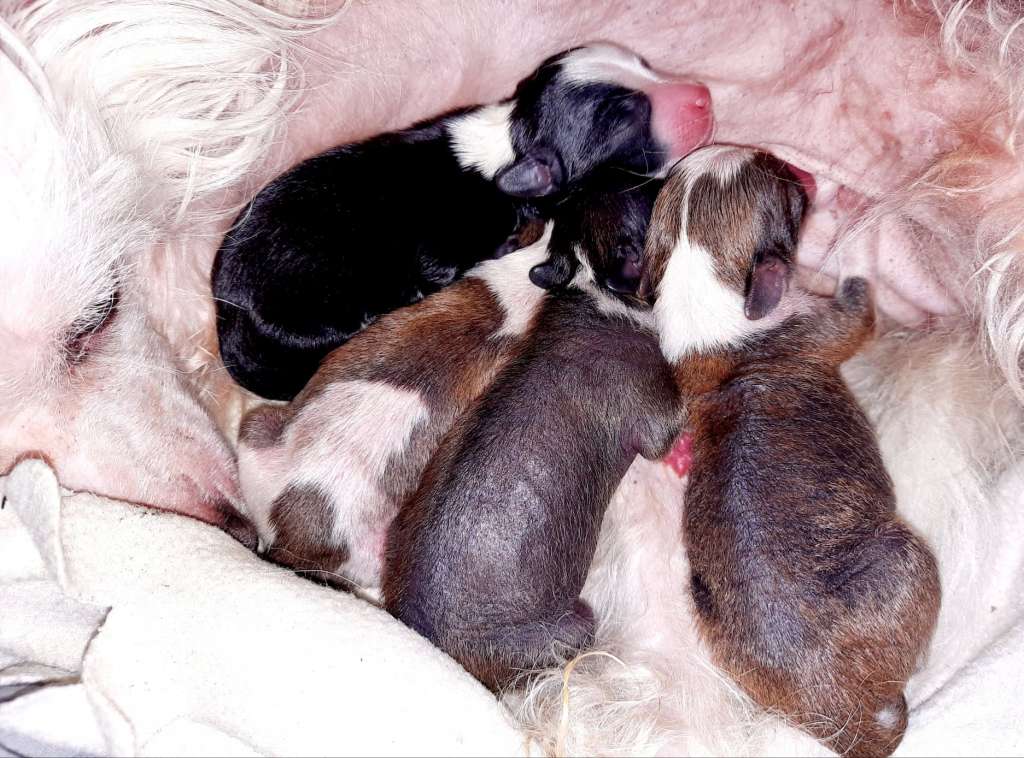 Concrete Clouds Magician's Hat