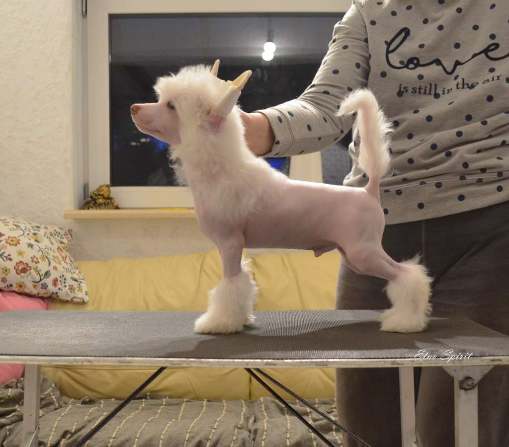 Etno Spirit Life Is Life