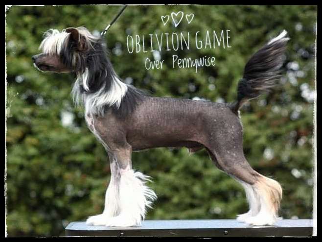 Oblivion Game Over Pennywise