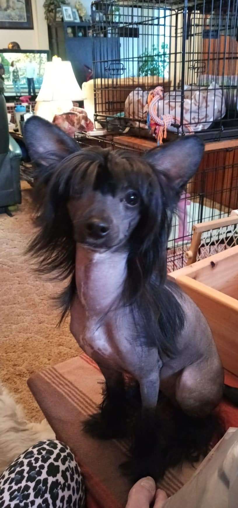 NuPoils My Name In Lights