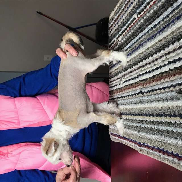 Calindi's I Like It Hot