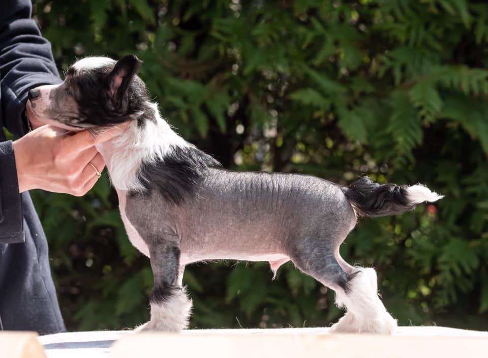 Hogwart Modern Family