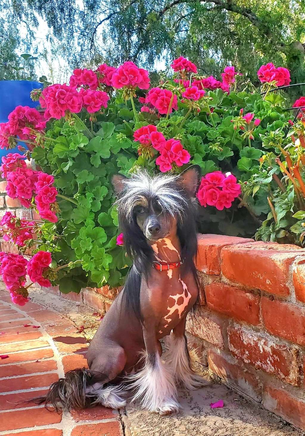 Olyuti's Exciting Girl