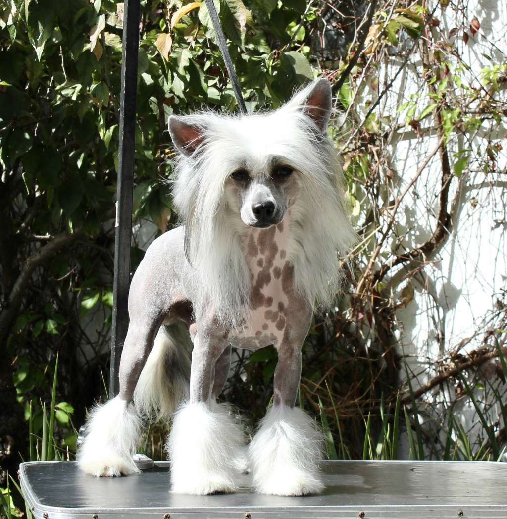 Iker Full Hapiness (Cantarell)