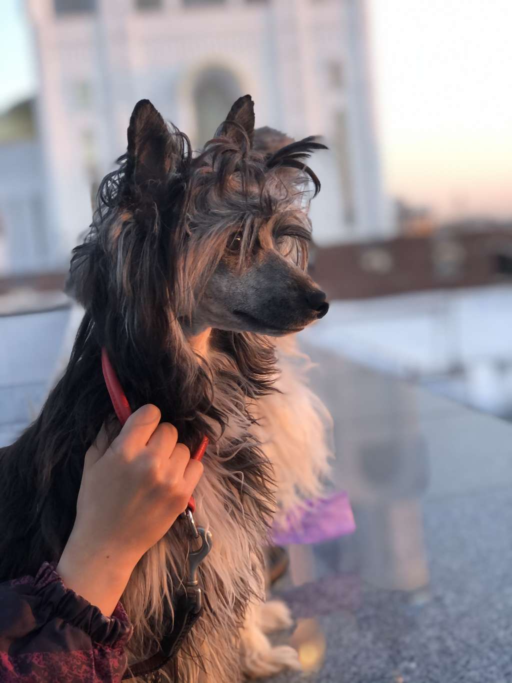 Ofeliya s Ostrova Utrenney Zari