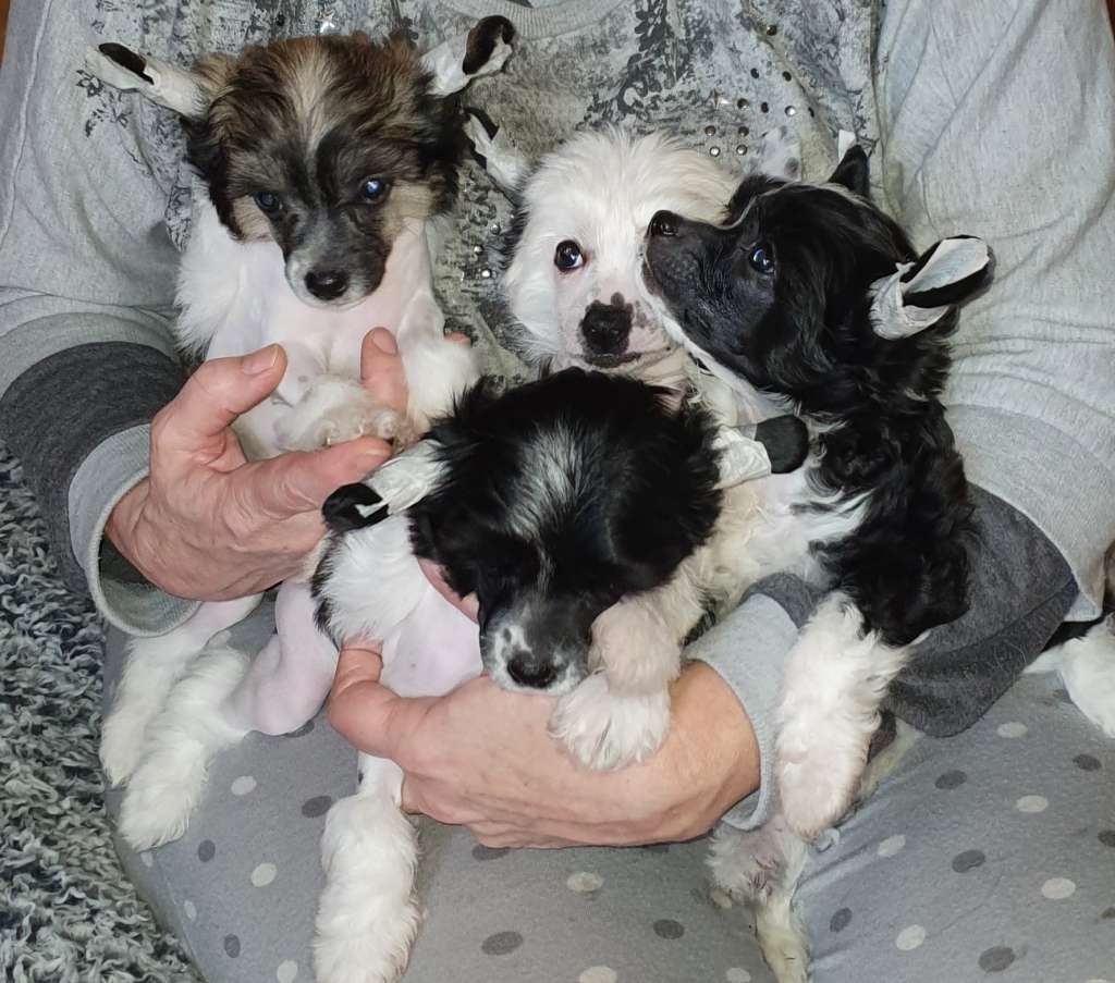 Dakota Rose You're The One That I Want