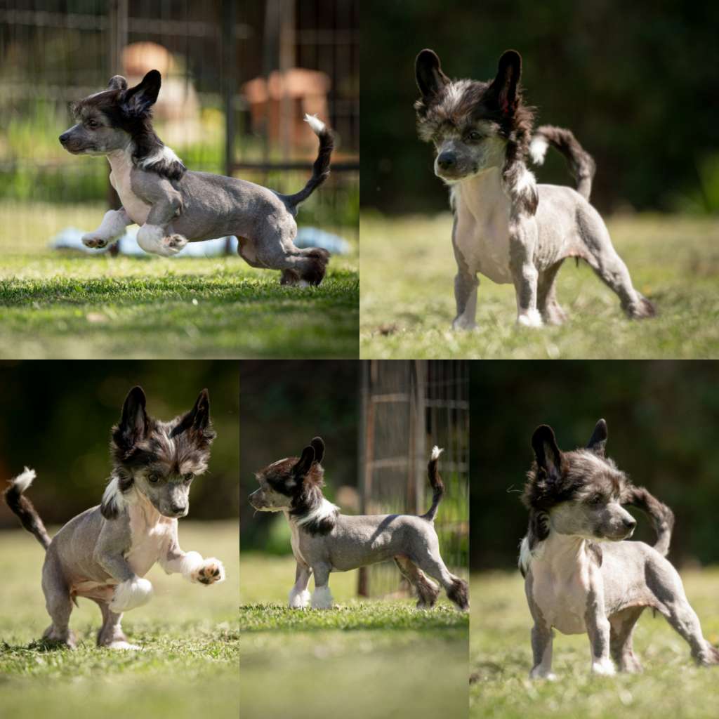 Forseti's Tequila Sunset