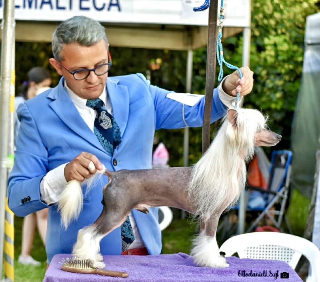 Lebron In The Court (Cantarell)