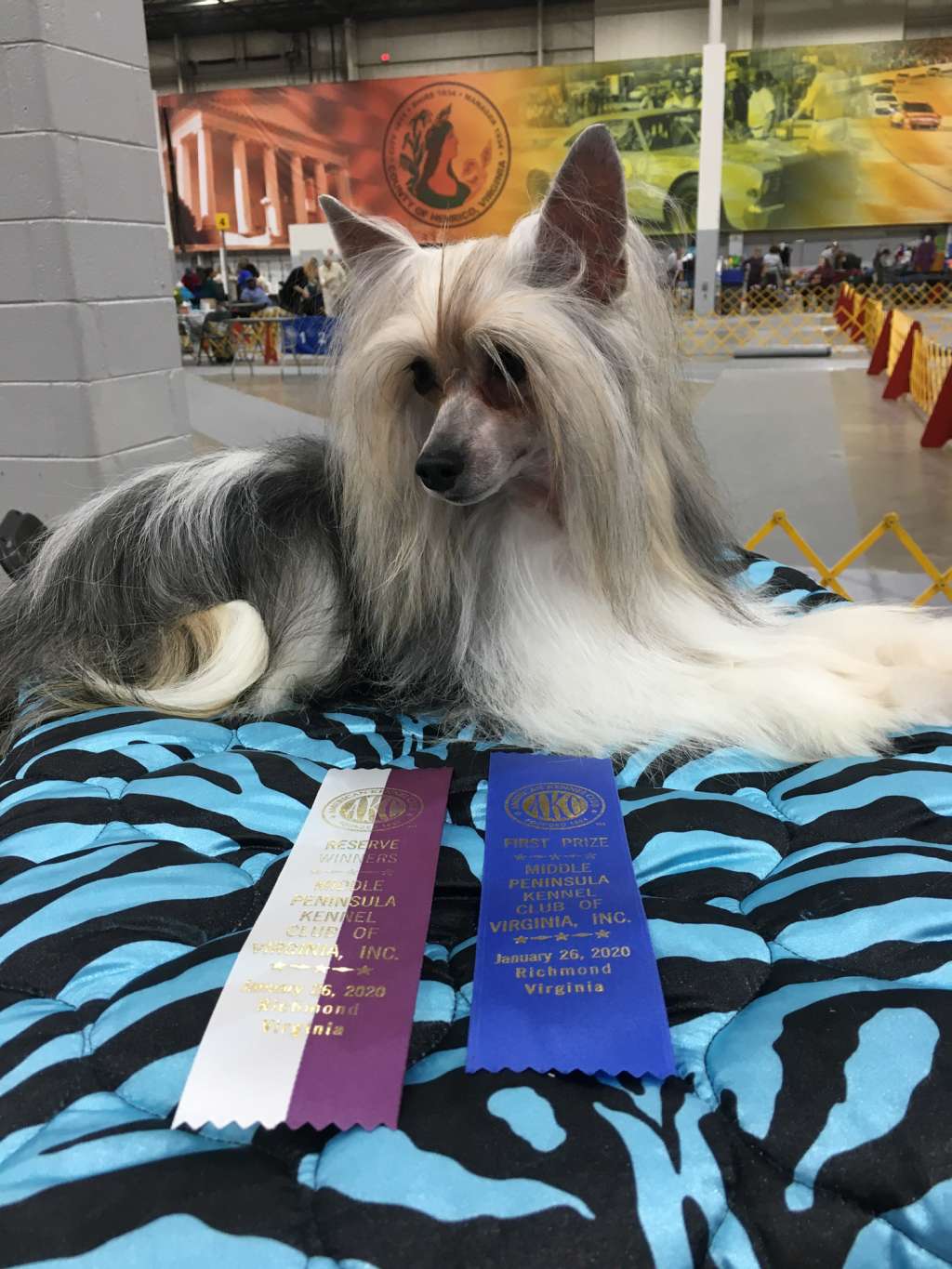 Risumo's Heavenly Destiny