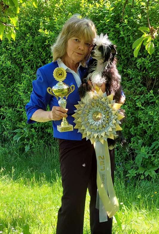 Incanto Del Mondo Limited Edition