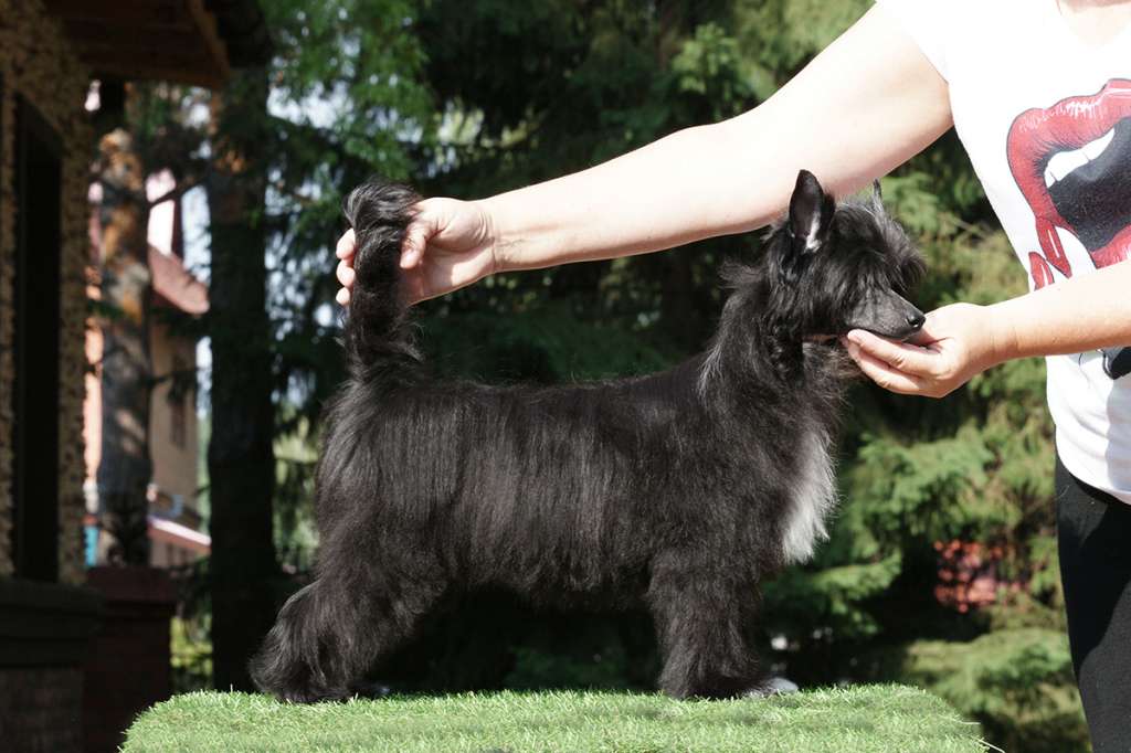 Incanto Del Mondo Luxury