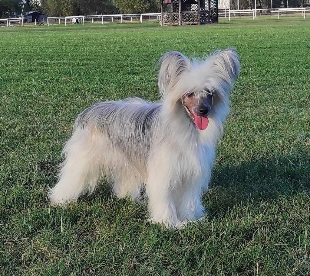 Follow Your Heart Laminacka