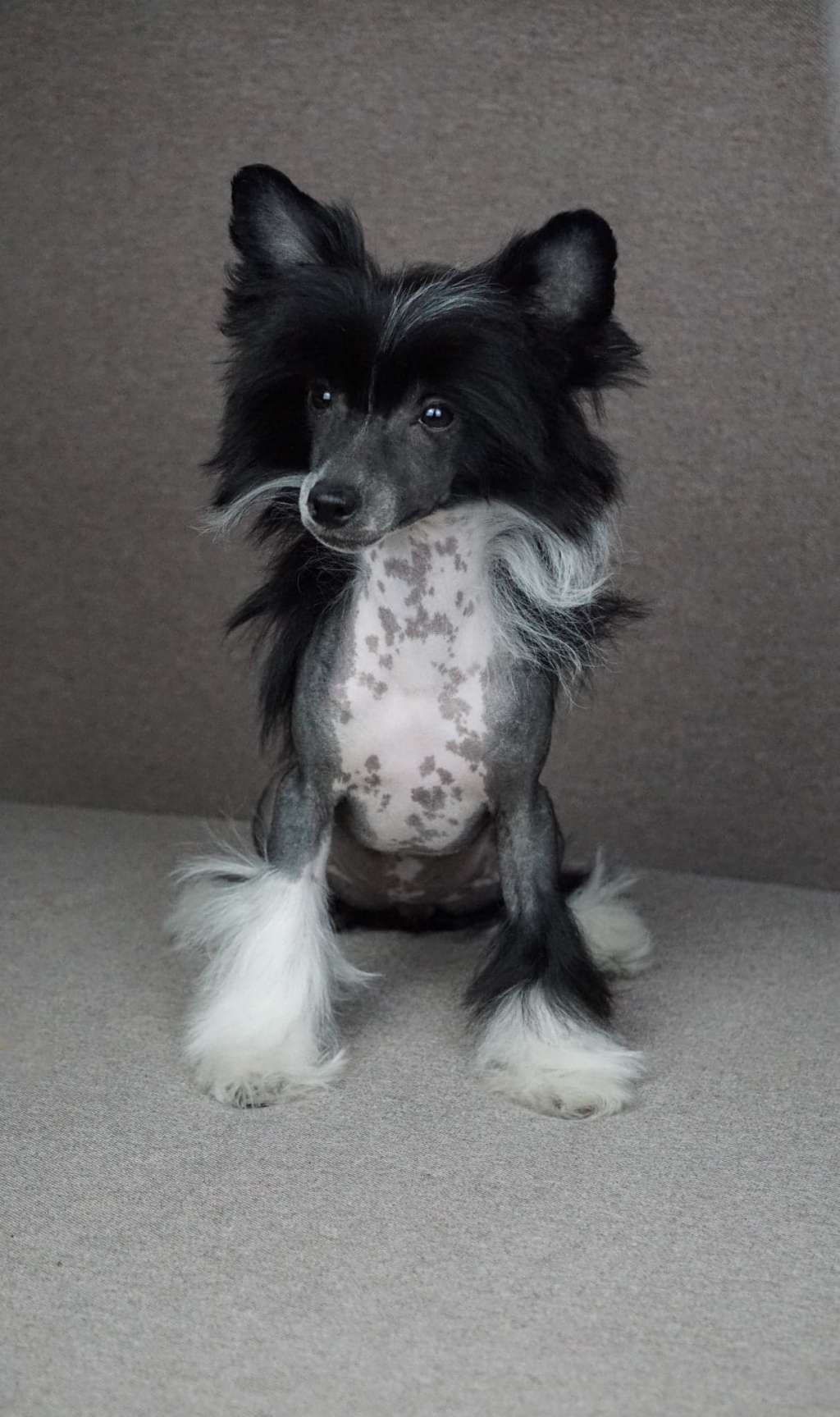 Lexa Planet Of Dream