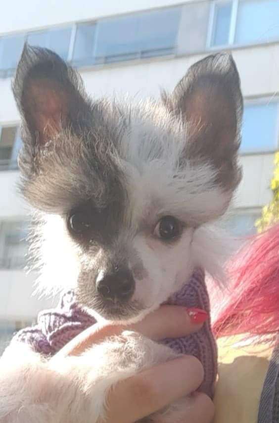 Falucre's Better Of Alone