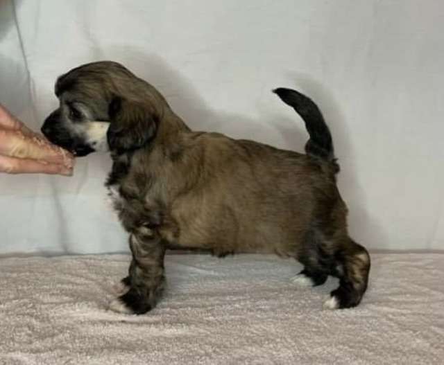 Moelmo's The Future Will Prove It