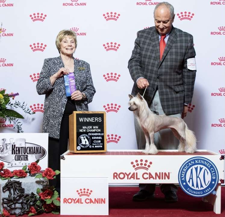 Zenith Tequila Mockingbird