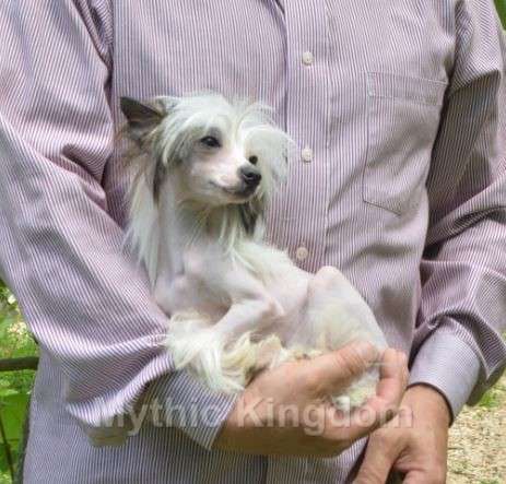 Mythic My Favorite Constellation