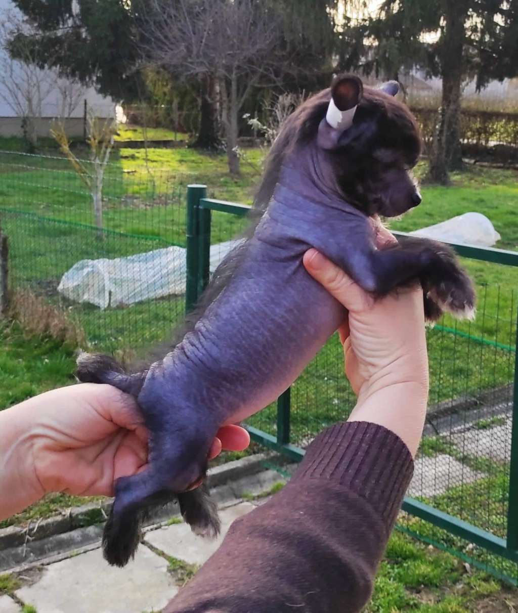 Cc Top Exclusive " Elly "