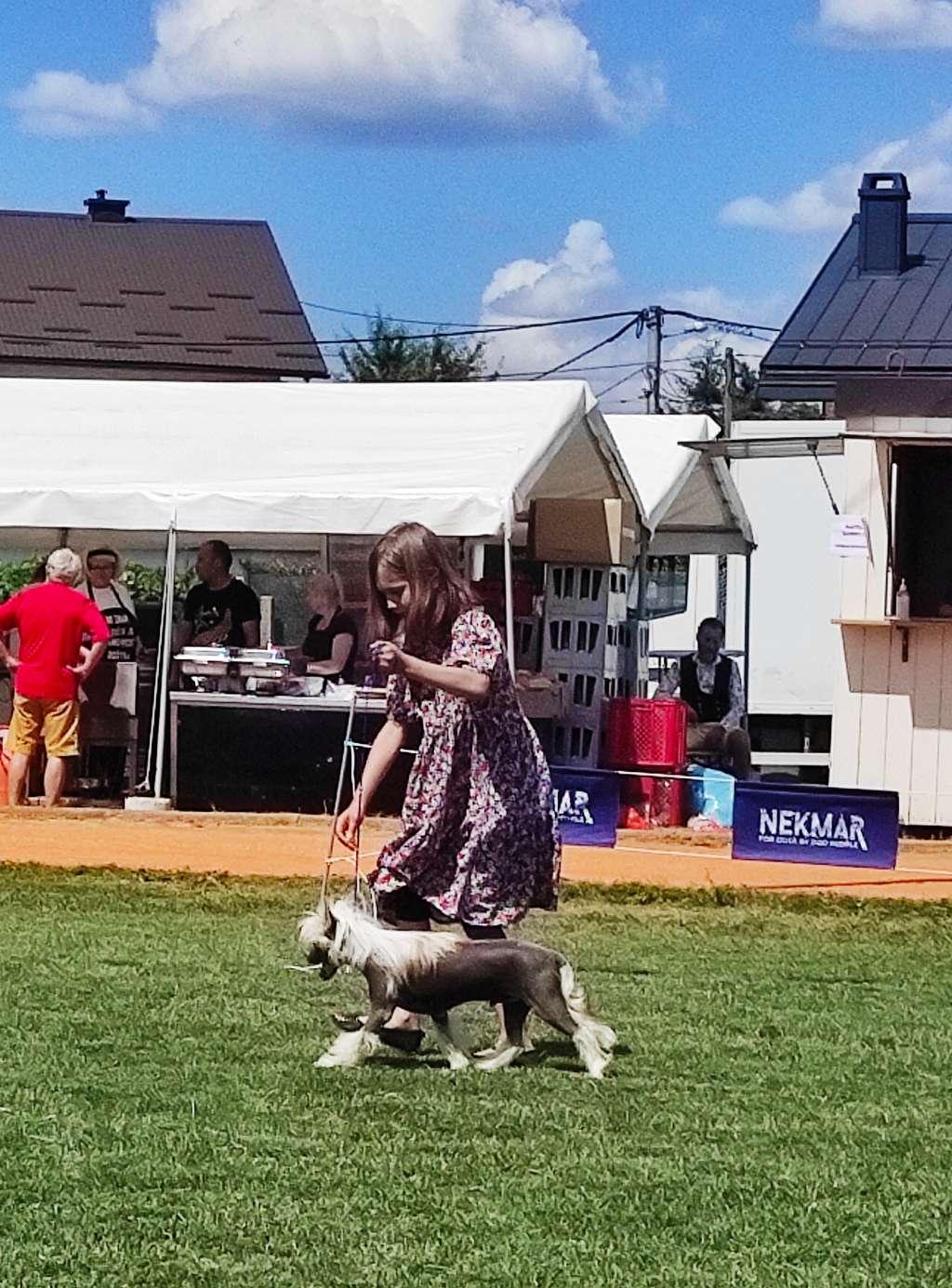 Cc Top Exclusive " Elon Musk "